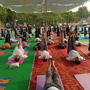 Devang Shah Yoga & Wellness